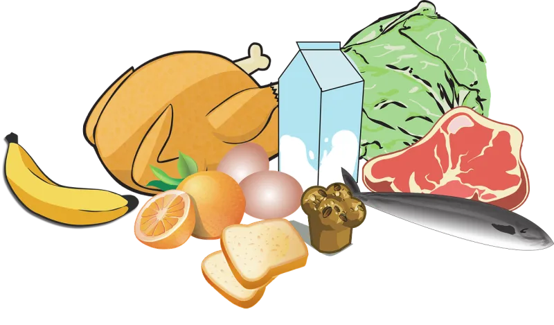 Chicken Milk Nature Stickdatei – Tiere