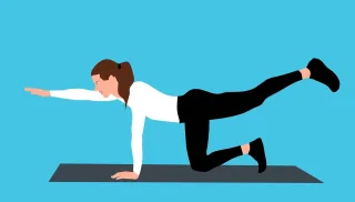 Gym Woman Slim Stickdatei