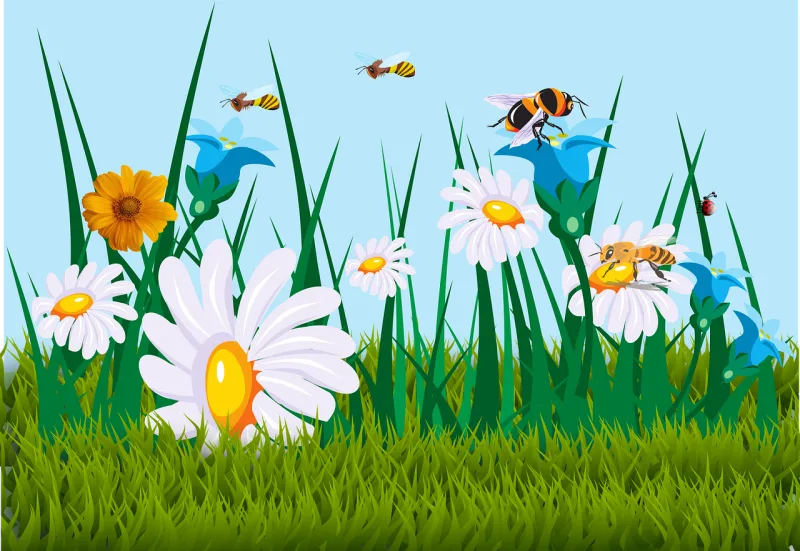 Flowers Beautiful flowers Flower wallpaper Stickdatei – Tiere