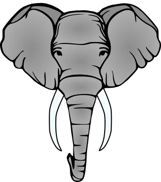 Elephant Head Tusks Stickdatei