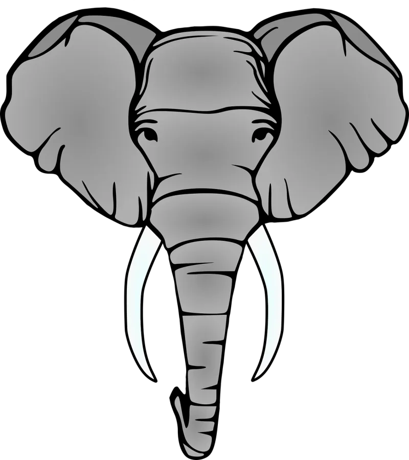 Elephant Head Tusks Stickdatei – Tiere