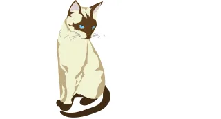 Cat Pet Animal Stickdatei