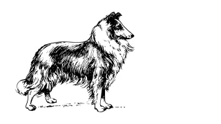 Dog Pet Animal Stickdatei