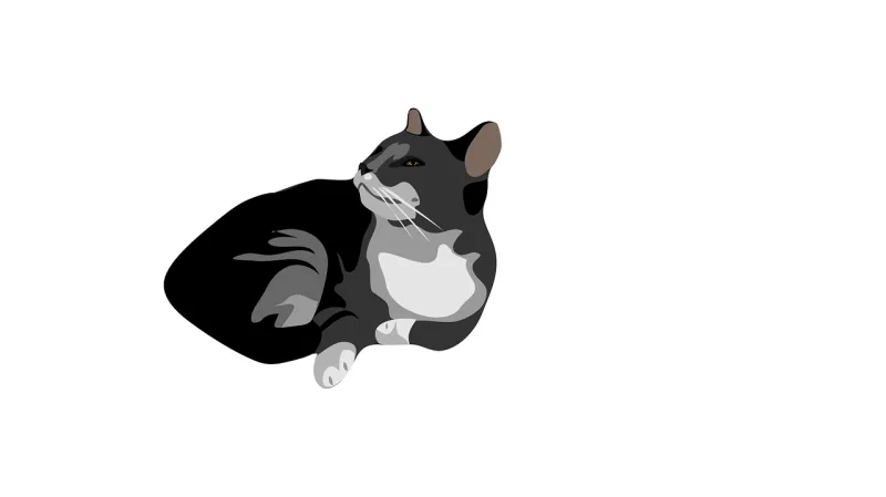 Cat Feline Animal Stickdatei – Tiere