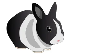 Bunny Rabbit Ears Stickdatei