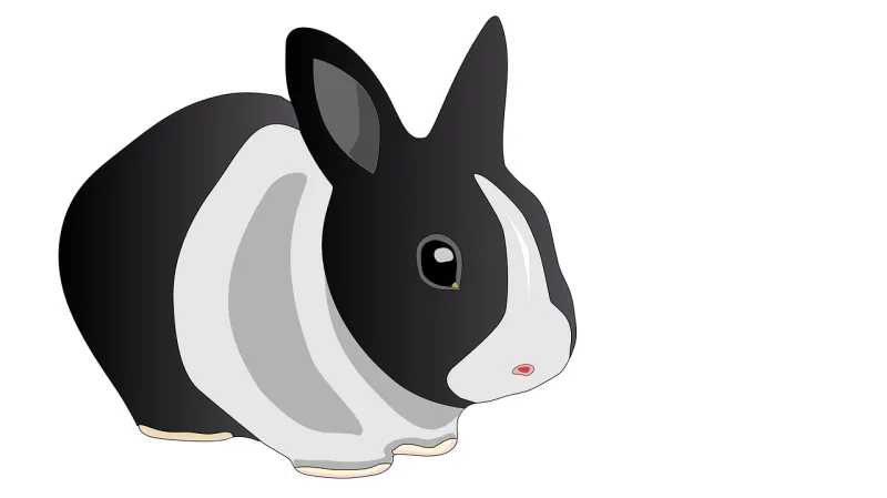 Bunny Rabbit Ears Stickdatei – Tiere