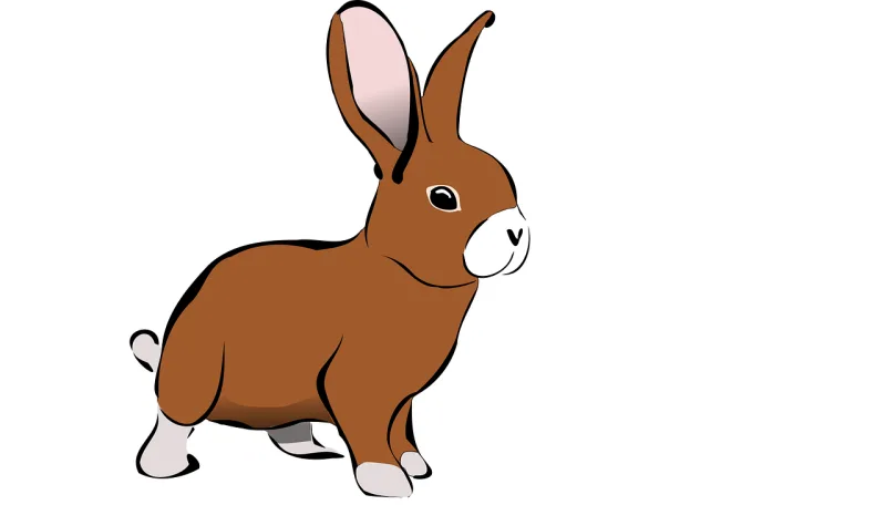 Rabbit Bunny Hare Stickdatei – Tiere