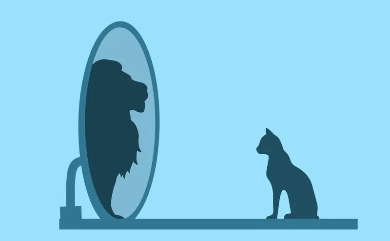 Cat Nature Mirror Stickdatei – Tiere