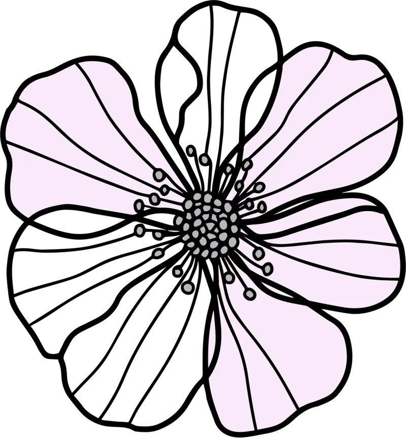 Flower Petals Nature Stickdatei – Blumen