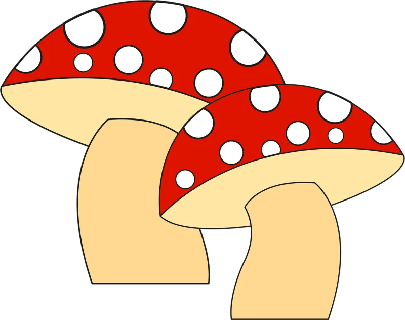 Mushrooms Amanita Fungus Stickdatei – Natur