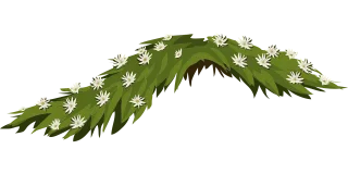 Flowers Beautiful flowers Jasmine Stickdatei