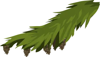 Branch Evergreen Fir Stickdatei