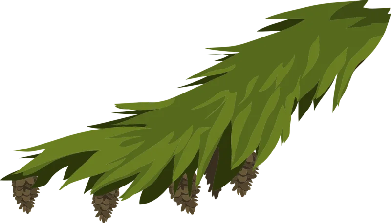 Branch Evergreen Fir Stickdatei – Weihnachten