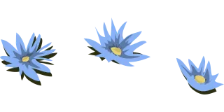 Water lilies Blue Flowers Stickdatei