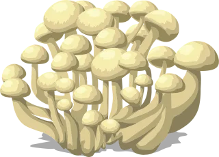 Mushrooms White Fungus Stickdatei