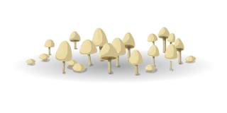 Mushrooms Vegetable Food Stickdatei