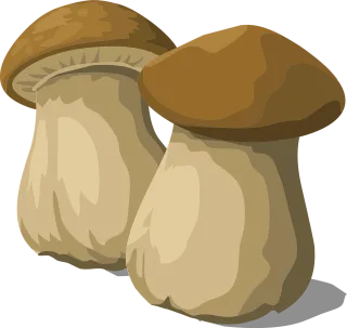 Porcini Mushroom Fungus Stickdatei