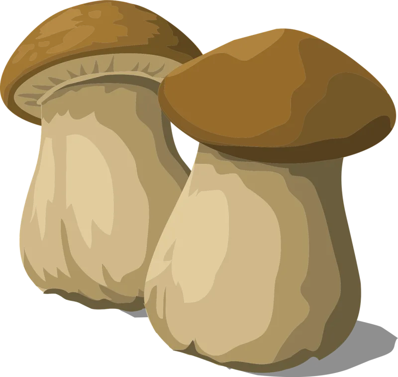 Porcini Mushroom Fungus Stickdatei – Natur
