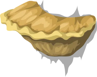 Fungus Fungal Mushroom Stickdatei