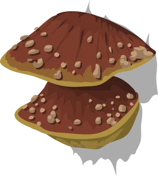 Fungus Nature Fungal Stickdatei