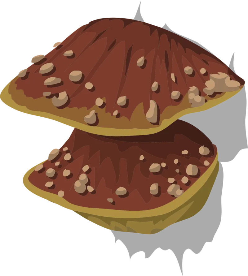 Fungus Nature Fungal Stickdatei – Natur