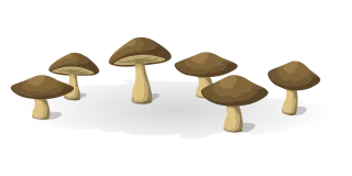Mushrooms Vegetables Food Stickdatei