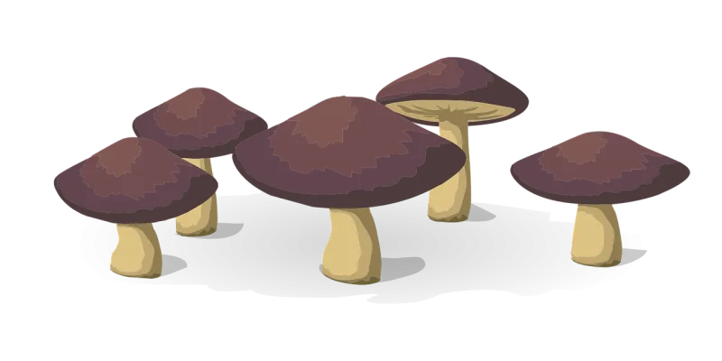 Mushrooms Vegetables Food Stickdatei – Natur