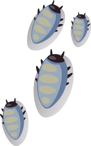 Bugs Beetles Ticks Stickdatei – Tiere