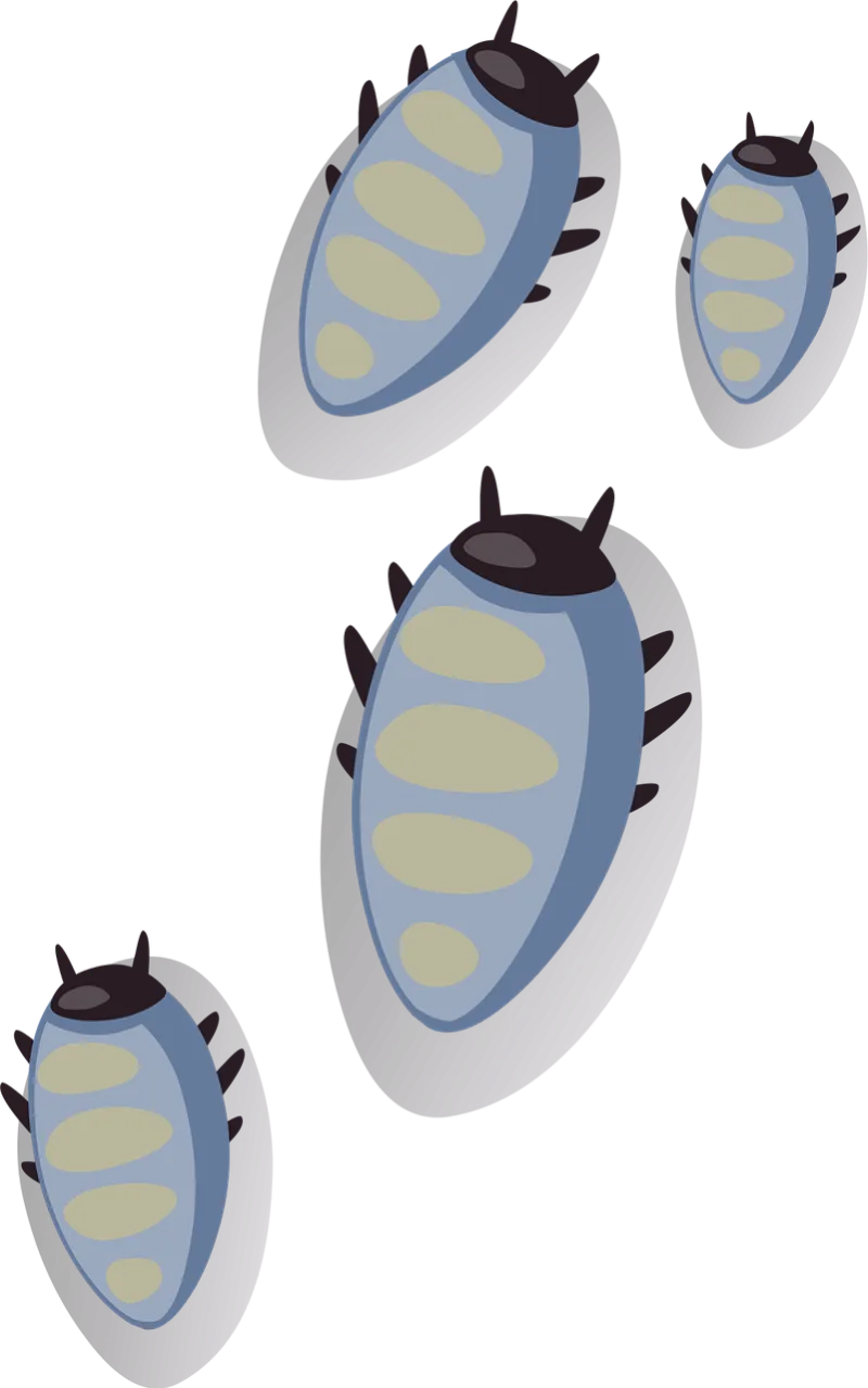 Bugs Beetles Ticks Stickdatei – Tiere