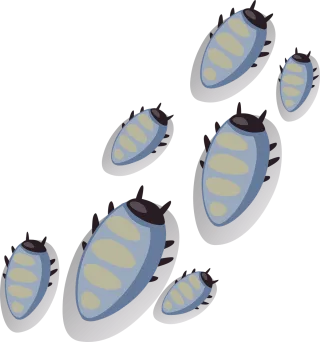 Bugs Beetles Ticks Stickdatei – Tiere