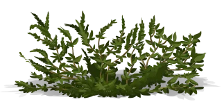 Bush Shrub Green Stickdatei