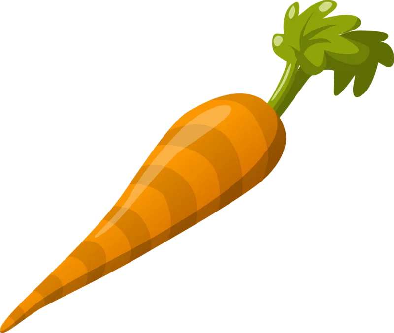 Carrot Vegetable Food Stickdatei – Natur