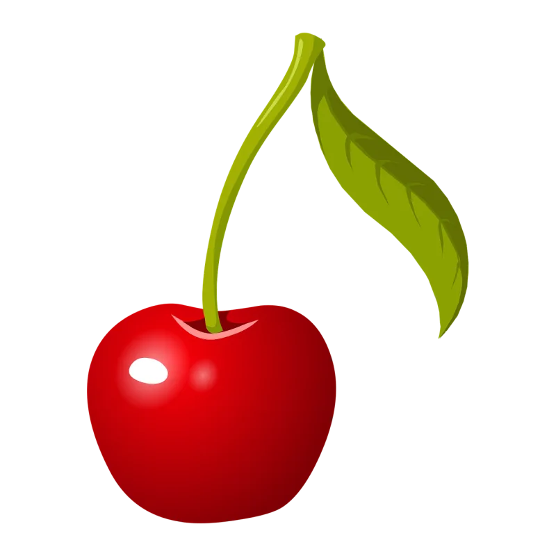 Cherry Fruit Food Stickdatei – Natur