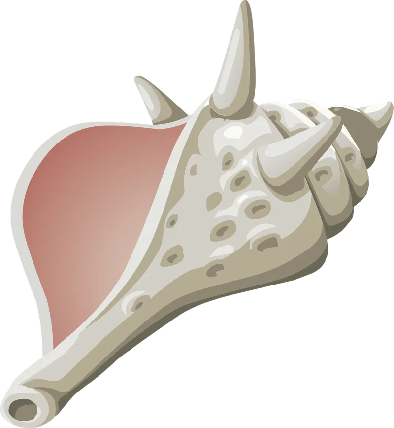 Conch Nature Shell Stickdatei – Essen & Trinken