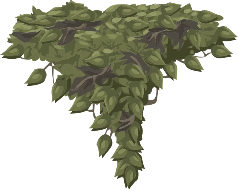 Leaves Green Foliage Stickdatei – Natur