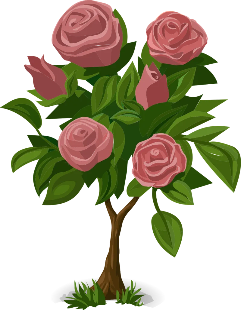 Rose Flower wallpaper Beautiful flowers Stickdatei – Blumen