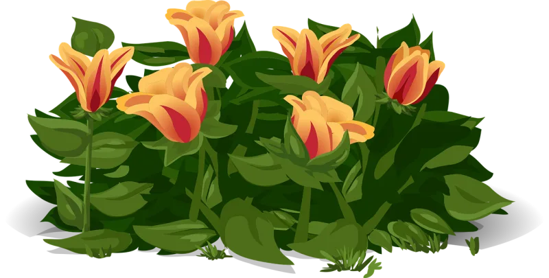 Tulips Flowers Plants Stickdatei – Blumen