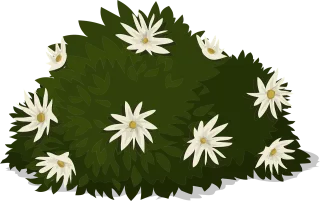 White Flowers Plants Stickdatei