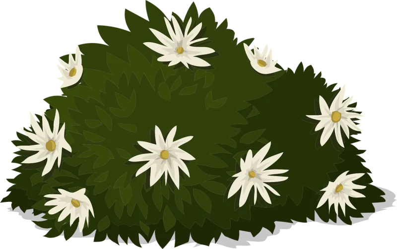White Flowers Plants Stickdatei – Blumen