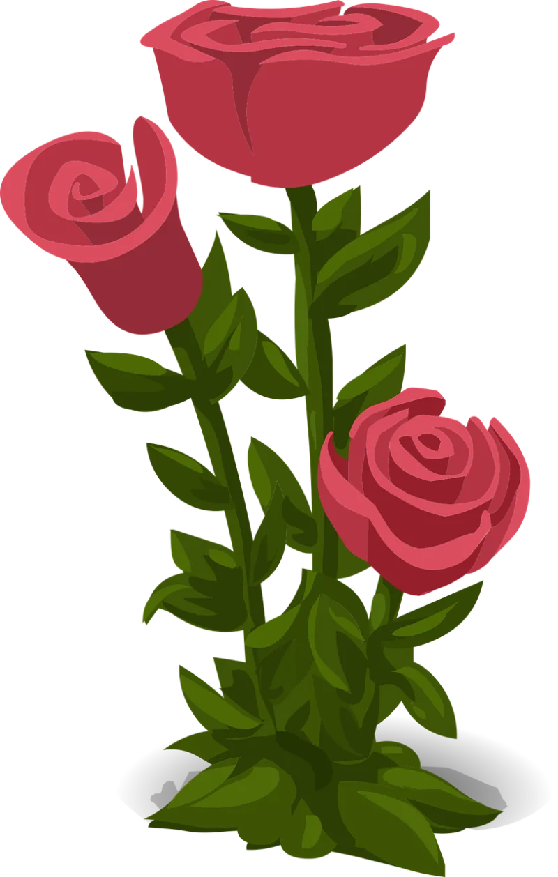 Roses Pink Flowers Stickdatei – Blumen