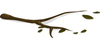 Branch Tree Leaves Stickdatei