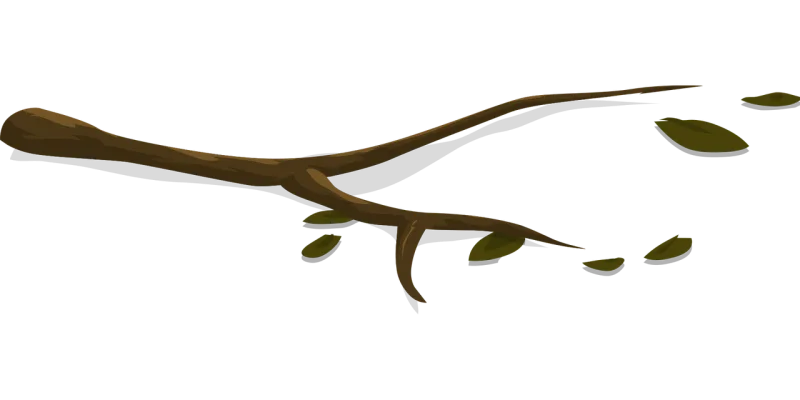 Branch Tree Leaves Stickdatei – Natur