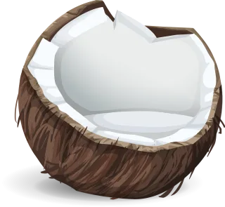 Coconut Icon Fruit Stickdatei