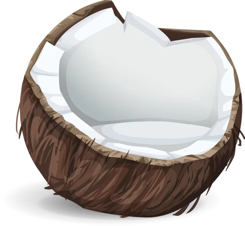 Coconut Icon Fruit Stickdatei – Essen & Trinken