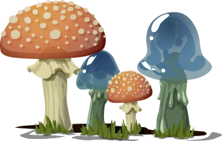 Mushrooms Nature Toadstools Stickdatei