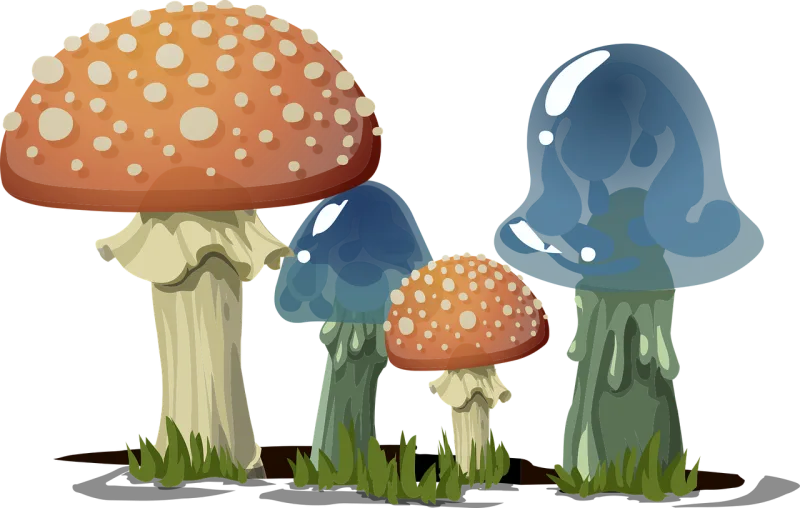 Mushrooms Nature Toadstools Stickdatei – Natur