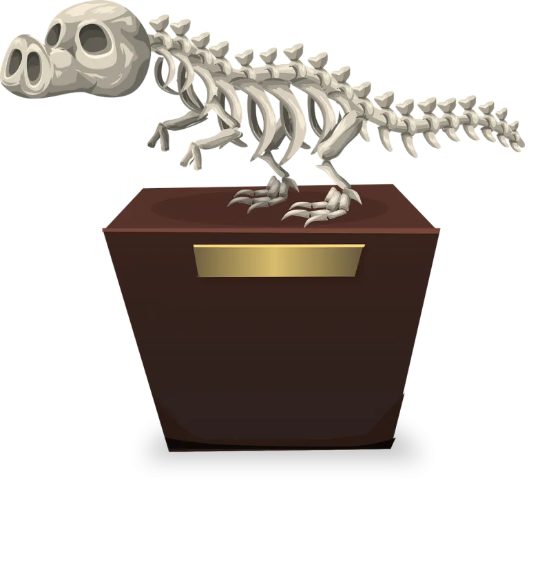 Dinosaur Nature Skeleton Stickdatei – Kinder