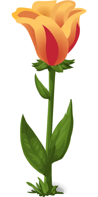 Tulips Plants Beautiful flowers Stickdatei – Blumen
