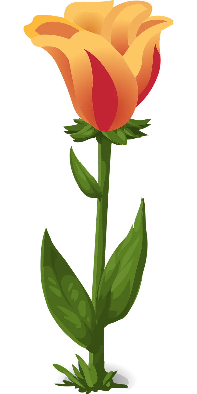 Tulips Plants Beautiful flowers Stickdatei – Blumen