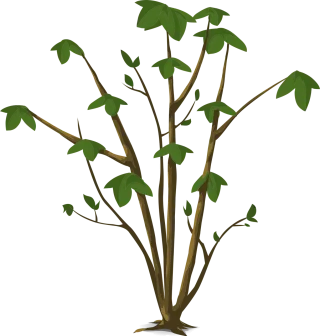 Plant Leaves Green Stickdatei